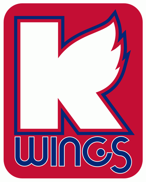 kalamazoo wings 2009 alternate logo iron on transfers for clothing